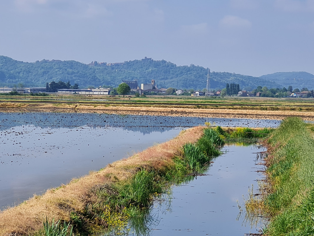 Forschungsprojekt Siliziplants: Beprobung im Piemonte - Photo: FEhS – Institut für Baustoff-Forschung e.V.