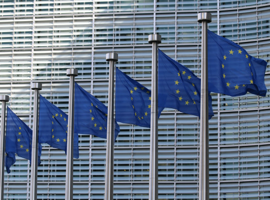 Die Europäoische Union mit dem Rat für Wirtschaft und Finanzen (ECOFIN) erhält Lob für Anpassungen am CBAM