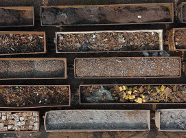 Recycelte Metalle in Iowa